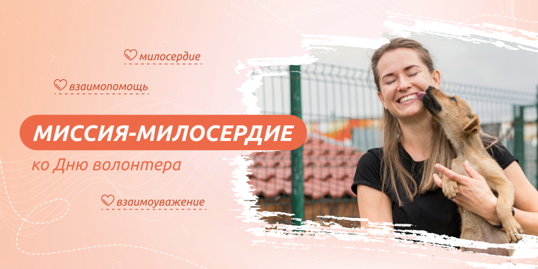 "Миссия-милосердие".